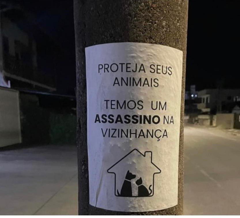 Homem que usava arma de pressão para maltratar gato é preso em SC