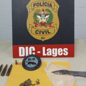 Foto: Polícia Civil de Santa Catarina