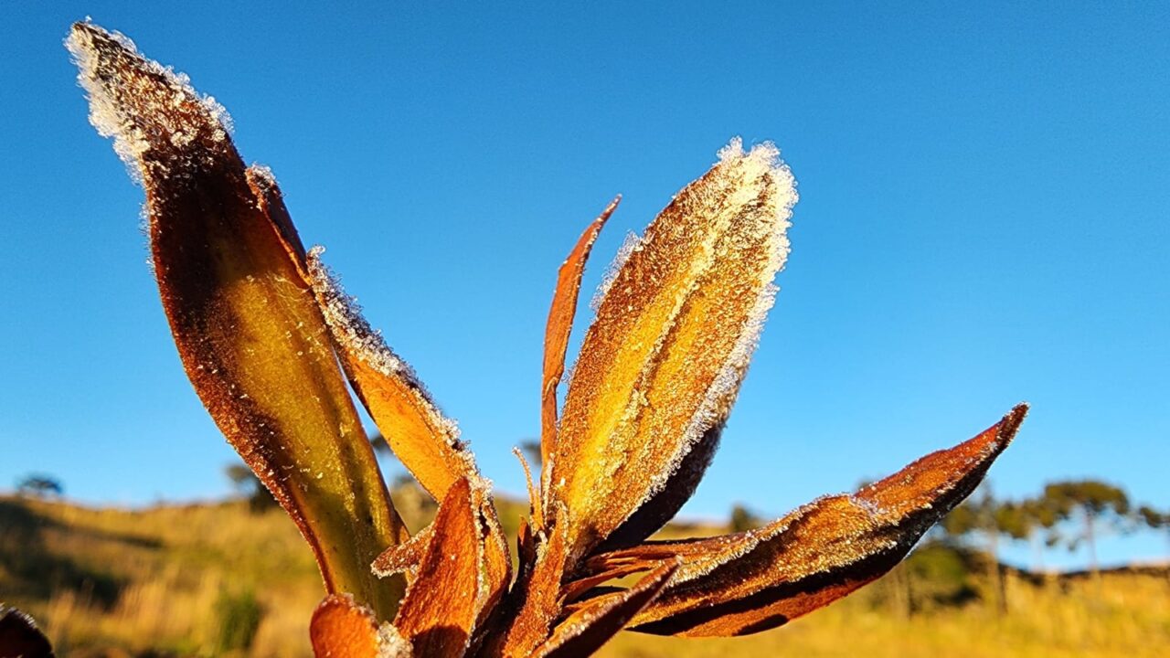 Serra Catarinense tem nono dia consecutivo de temperaturas negativas