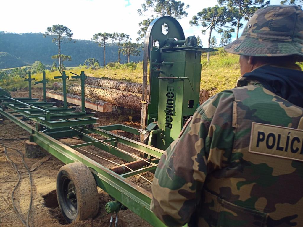 Foto: Polícia Militar Ambiental (PMA)