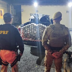 Foto: Polícia Rodoviária Federal (PRF) / Divulgação 