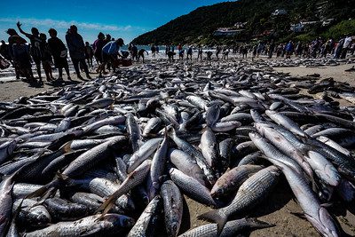 Foto Ricardo Wolffenbüttel/SECOM

