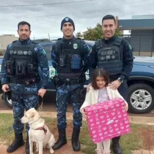 Foto: Guarda Municipal de Chapecó/Divulgação 