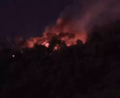 Foto: reprodução Floripa Mil Grau | cedido. 