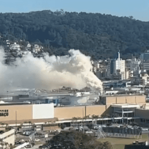 Foto: Reprodução/Guarda Municipal de Florianópolis