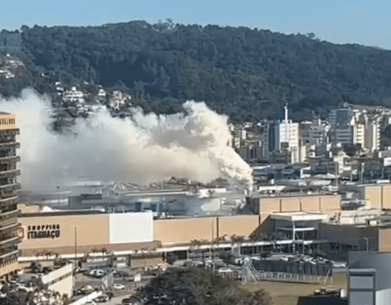 Foto: Reprodução/Guarda Municipal de Florianópolis