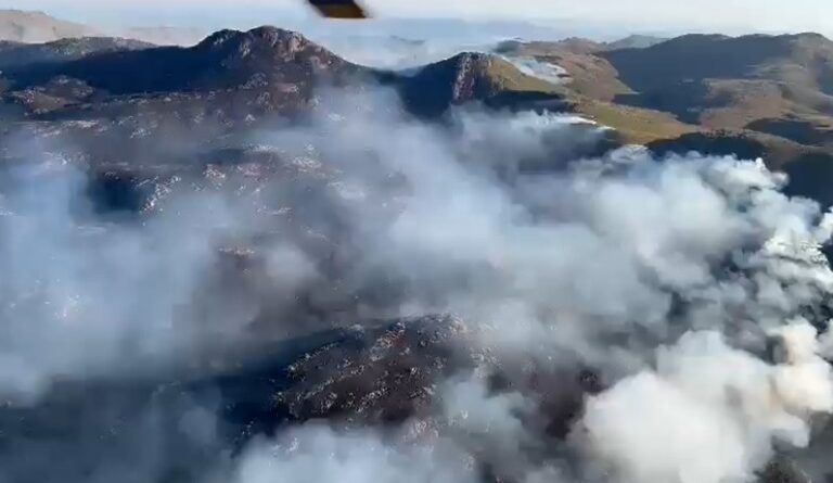 Incêndio de grandes proporções em mata mobiliza bombeiros em Garuva