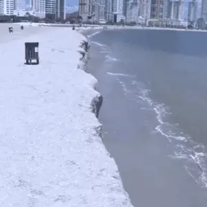 Foto: Câmera de segurança de Balneário Camboriú | Reprodução