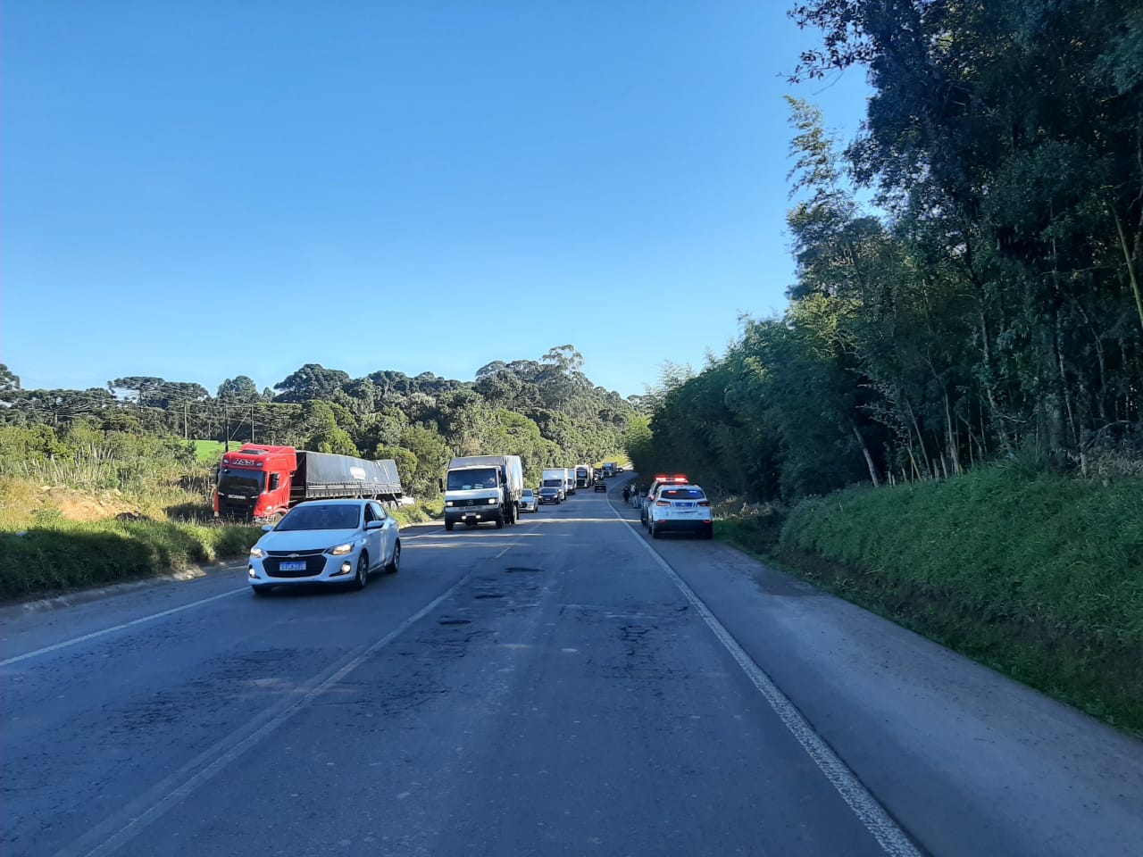 Foto: Polícia Rodoviária Federal (PRF/SC) / Reprodução
