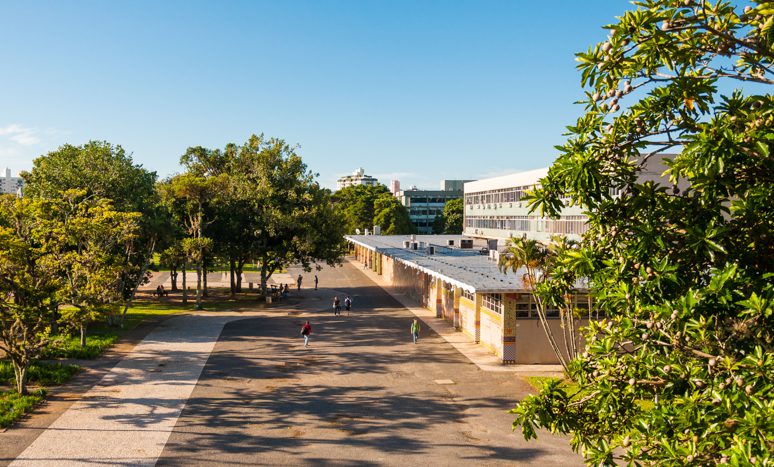 Foto: UFSC / Reprodução 