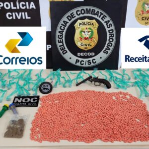 Foto: Polícia Civil de SC/Divulgação 