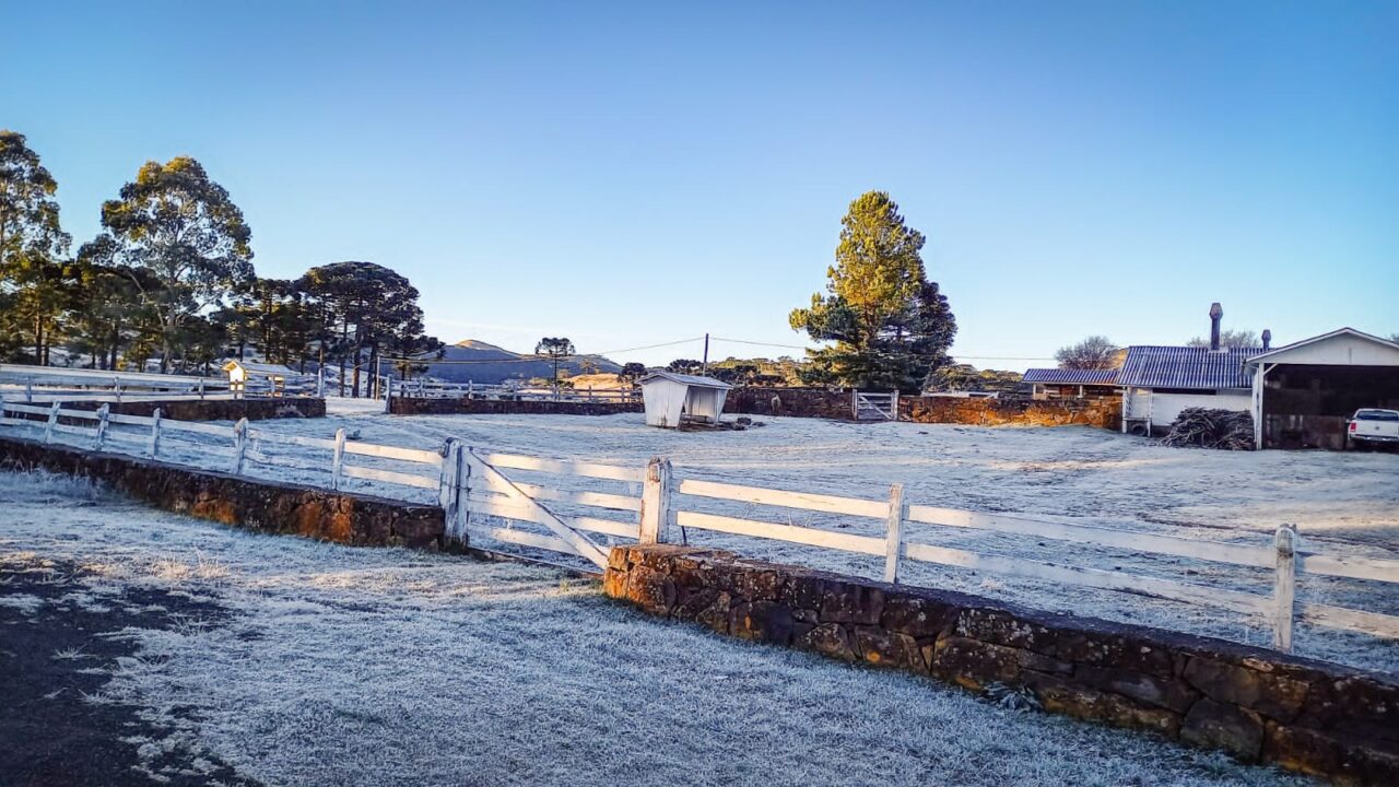 Com frio de -6ºC, semana começa com geada e nevoeiro em SC