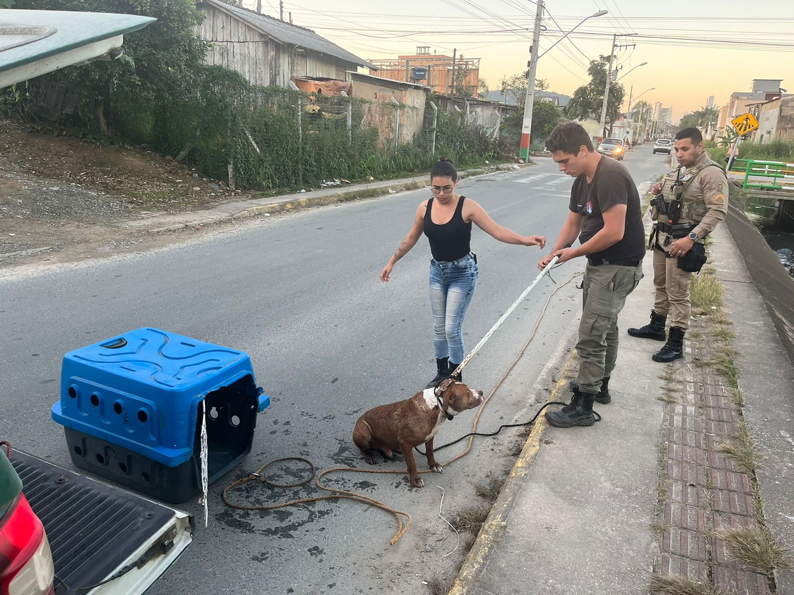 Foto divulgação | PM