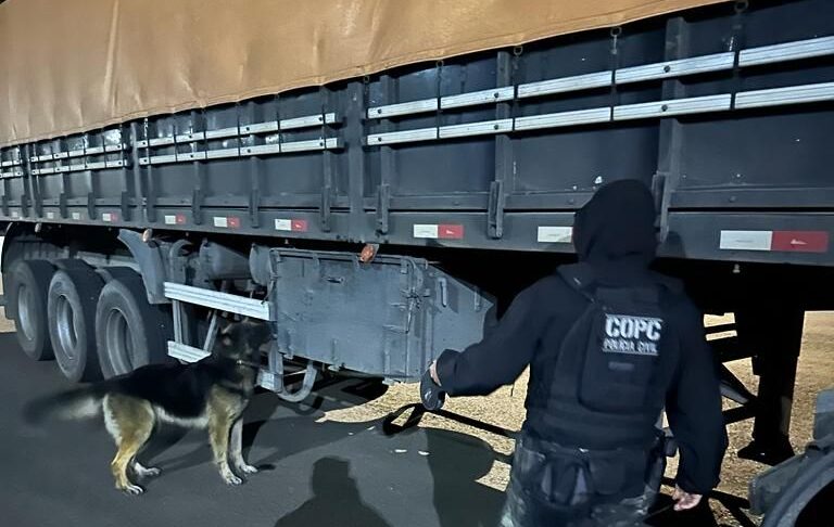 Foto divulgação Polícia Civil de SC