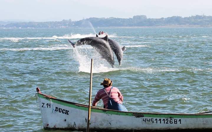 Foto: Elvis Palma | Laguna (SC). 