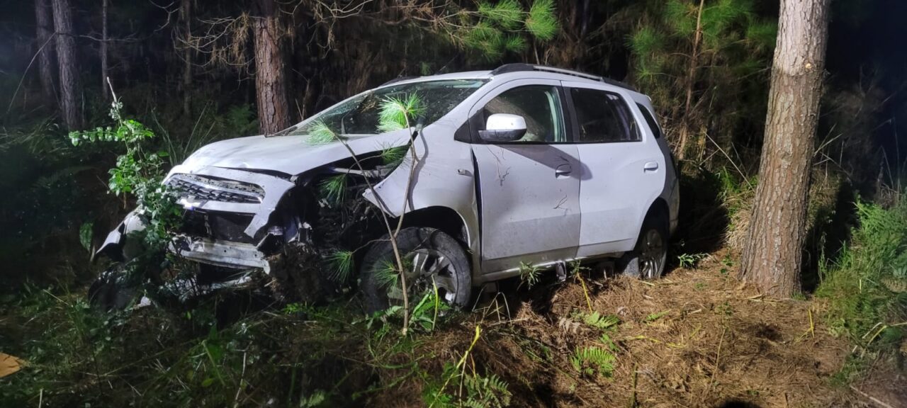 Carro atropela capivaras, cai em ribanceira e deixa três pessoas feridas na BR-282