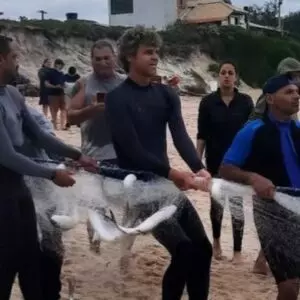 Foto: Marcelo Jurek / Floripa Mil Grau