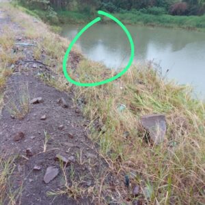 Carro caiu em um açude após sair da pista. Foto: CBMSC, Divulgação 