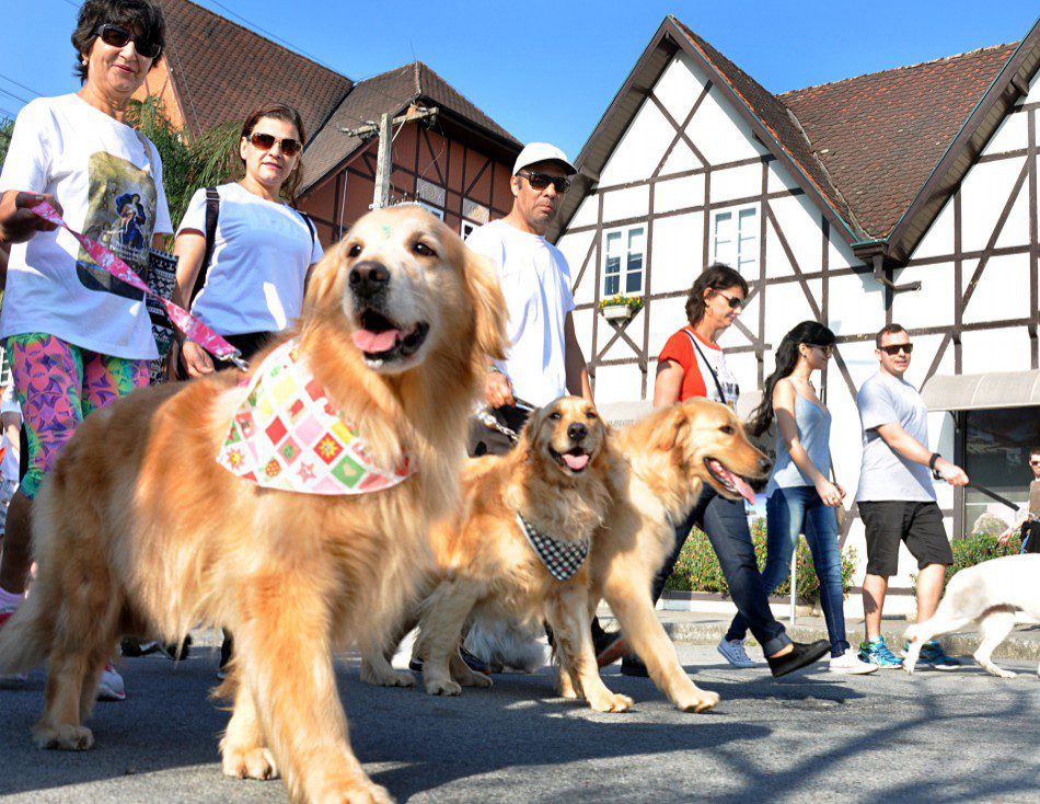 Foto: Prefeitura de Blumenau