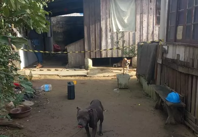 Foto: Polícia Militar/Divulgação.