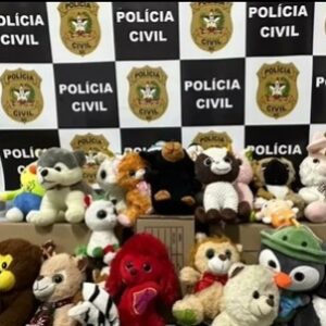 Foto: Polícia Civil | Divulgação