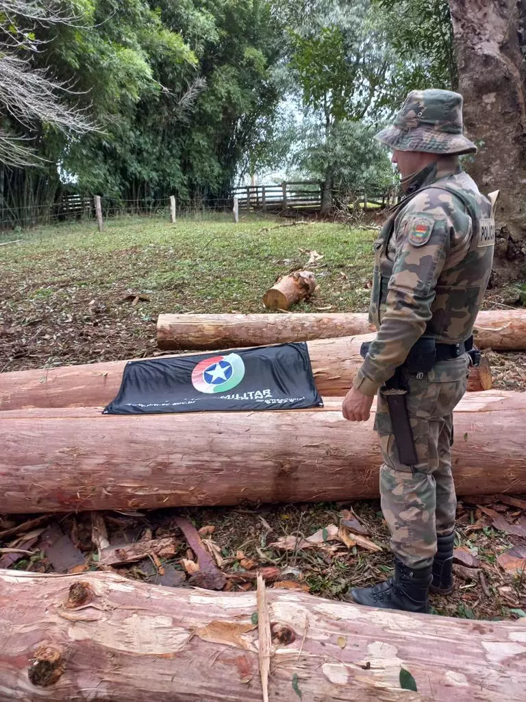 Foto divulgação PMSC