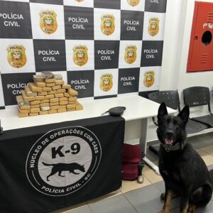 Foto: Polícia Civil/Divulgação