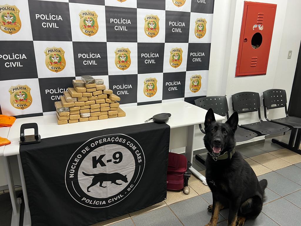 Foto: Polícia Civil/Divulgação