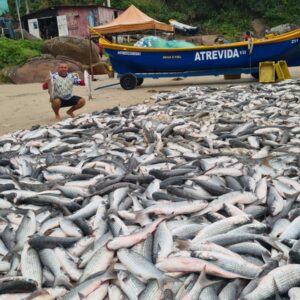 Foto: Redes Sociais/Reprodução
