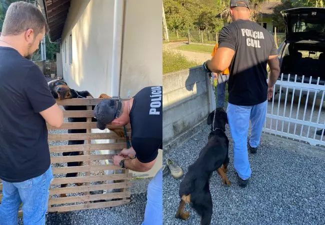 Fotos: Polícia Civil/Divulgação.