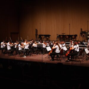 Foto: divulgação/Musicarium Joinville