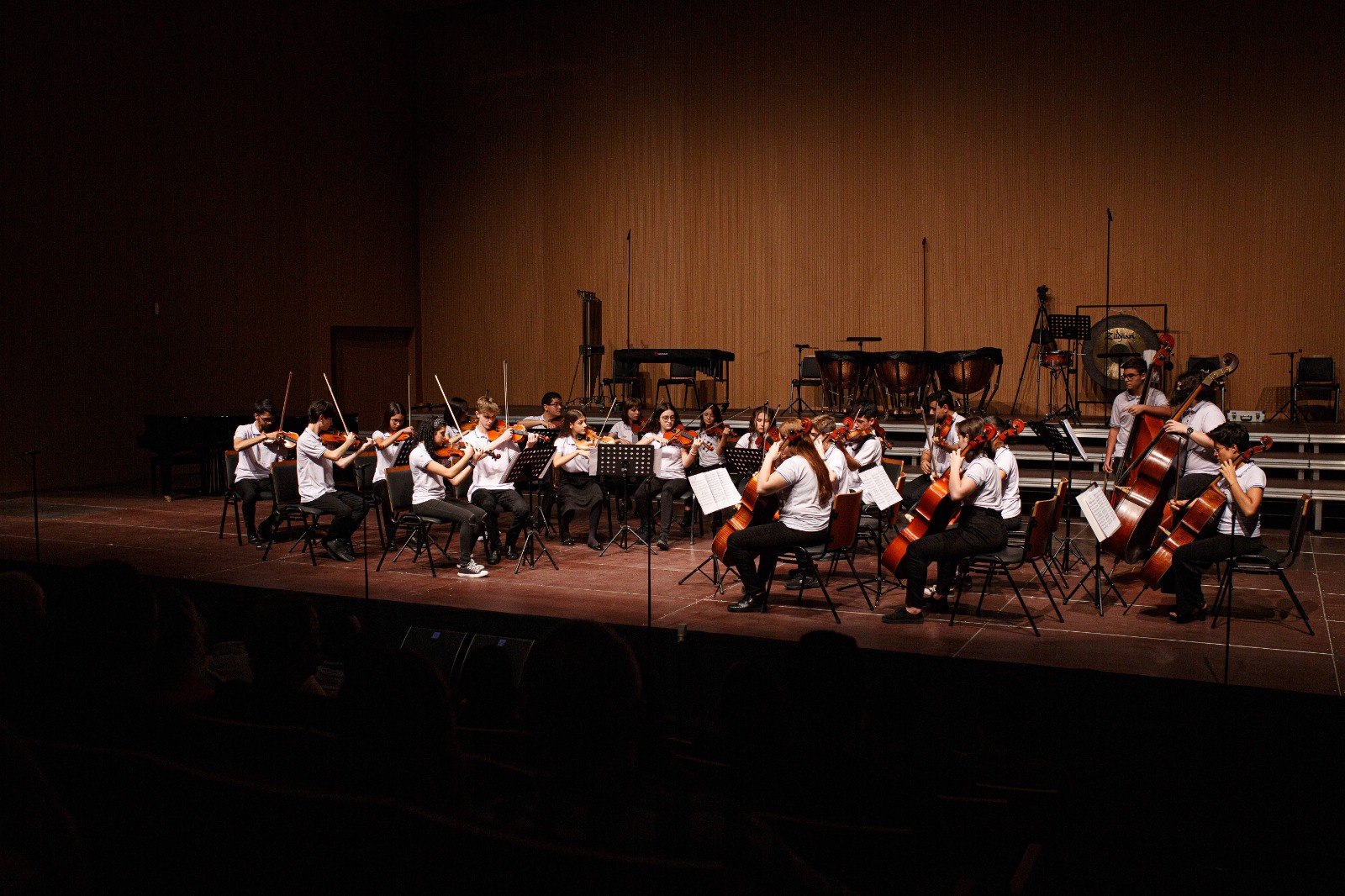 Foto: divulgação/Musicarium Joinville