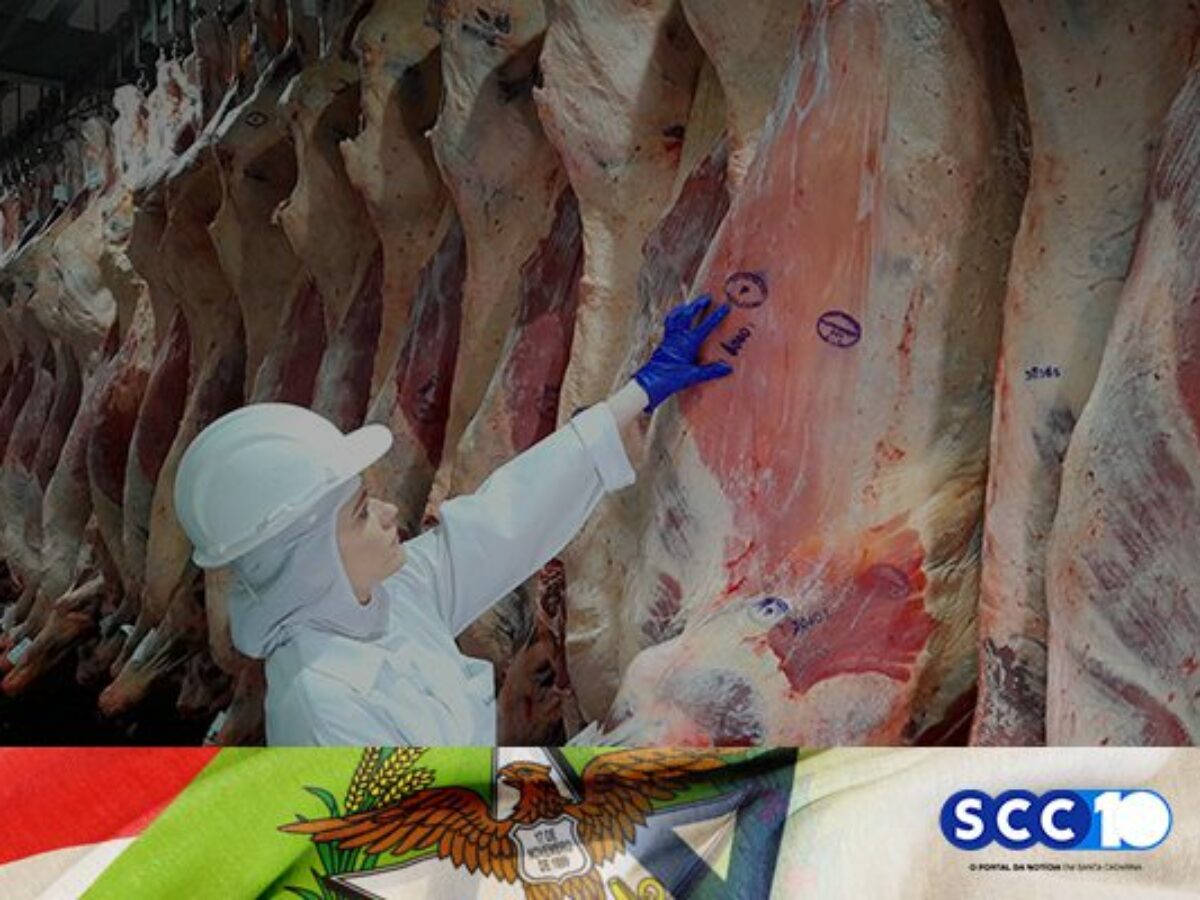 Osso é vendido e não dado': alta no preço da carne bovina reduz consumo em  Florianópolis, Santa Catarina