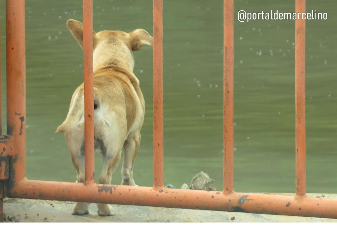 Foto: @portaldemarcelino/Divulgação