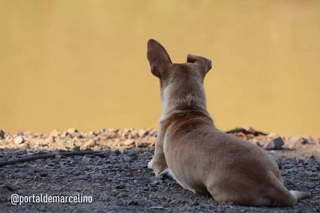 Foto: @portaldemarcelino/Divulgação