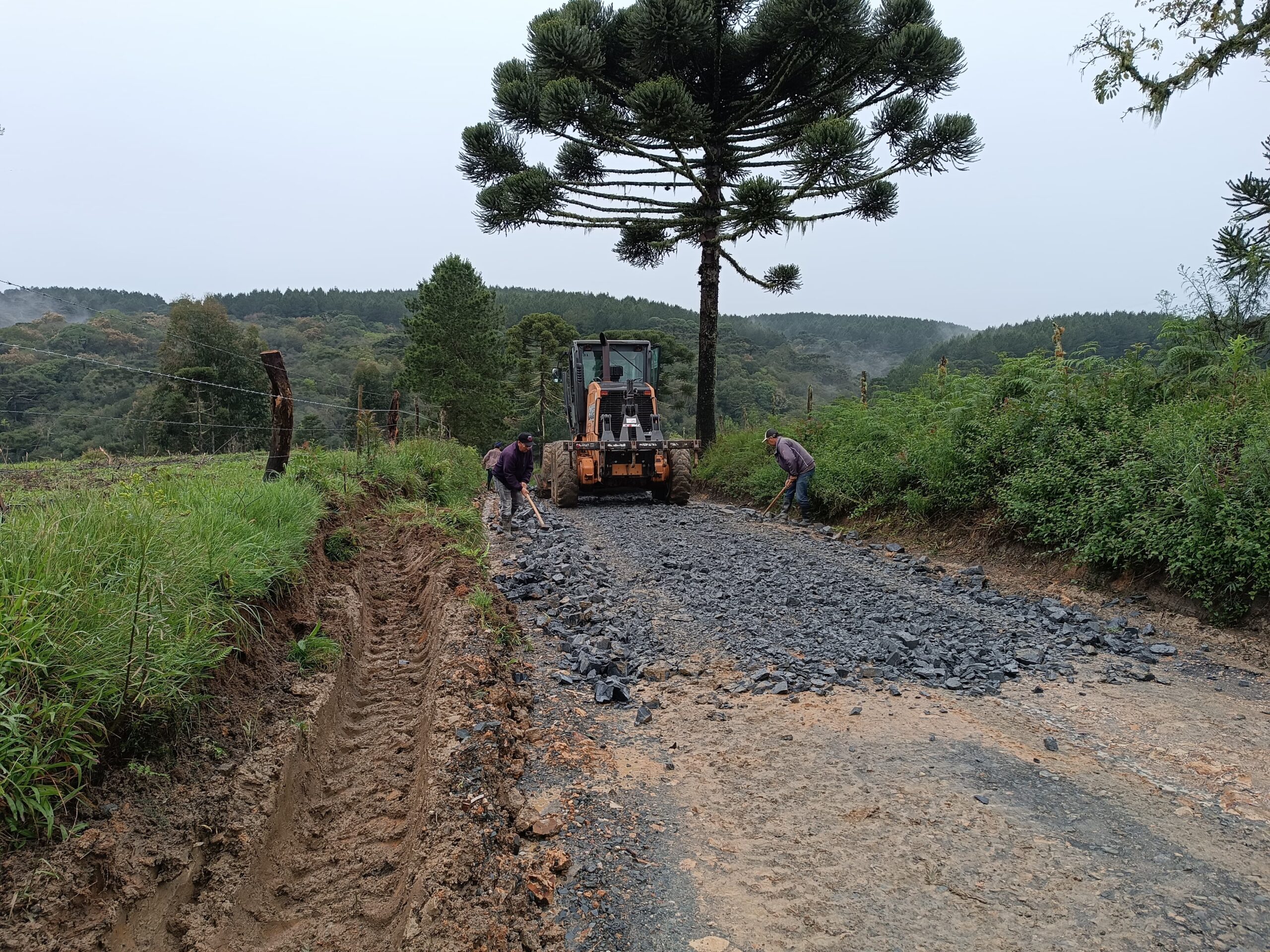 Foto: Prefeitura de Palmeira | Divulgação