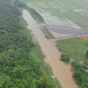 Rio Águas Vermelhas, Morro do Meio - Joinville. Foto: divulgação redes sociais/@souadrianosilva.