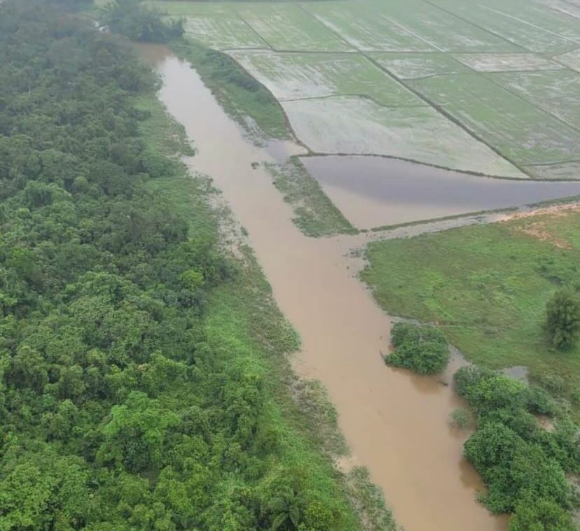 Rio Águas Vermelhas, Morro do Meio – Joinville. Foto: divulgação redes sociais/@souadrianosilva.