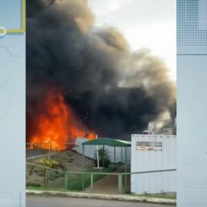 Foto: Primeiro Impacto, SBT News