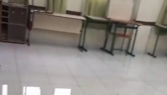 Foto: reprodução/cedido.