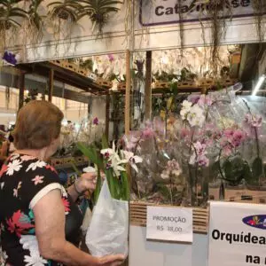 Foto: divulgação/Festa das Flores