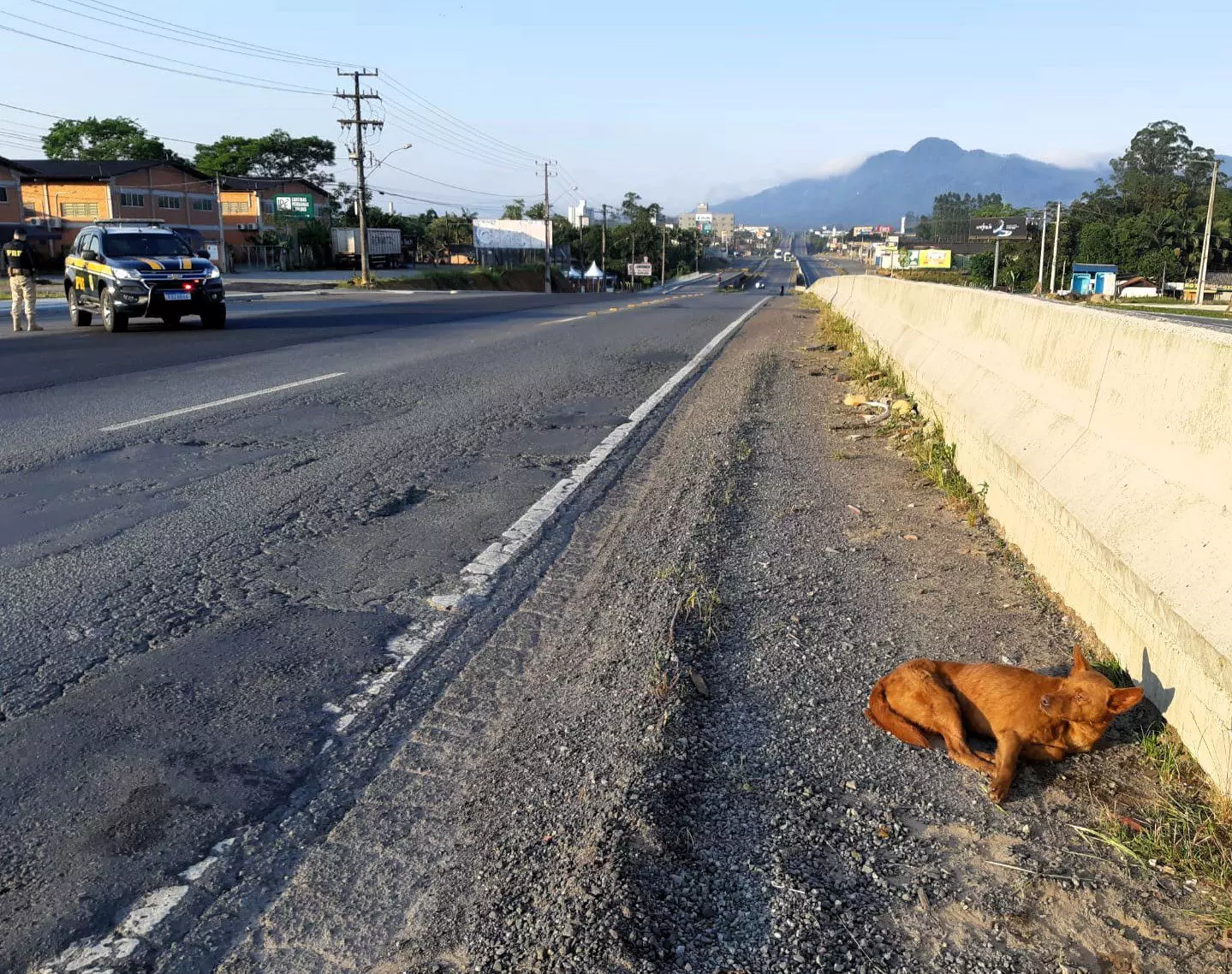 Foto: divulgação/PRF