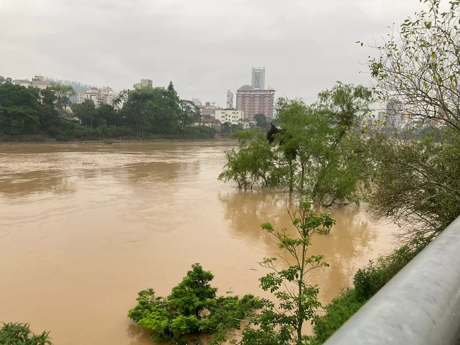 Até as 7h, o rio Itajaí Açu estava na altura de 9,08 metros | Foto: Natiele Oliveira/SCC SBT 