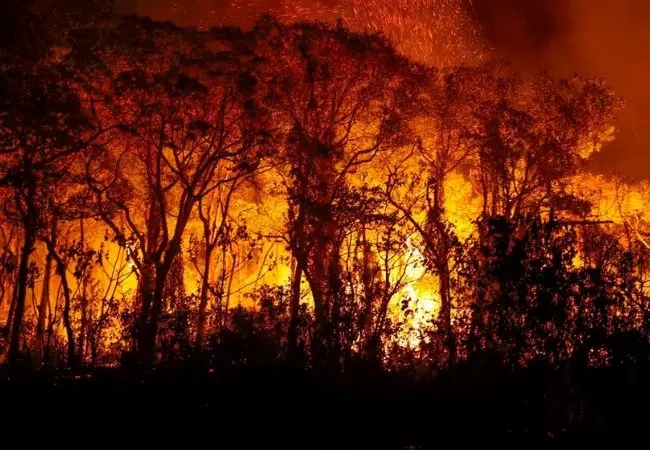 Foto: Joédson Alves/Agência Brasil.