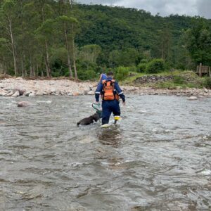 Pertences de idoso desaparecido são encontrados no Sul de SC