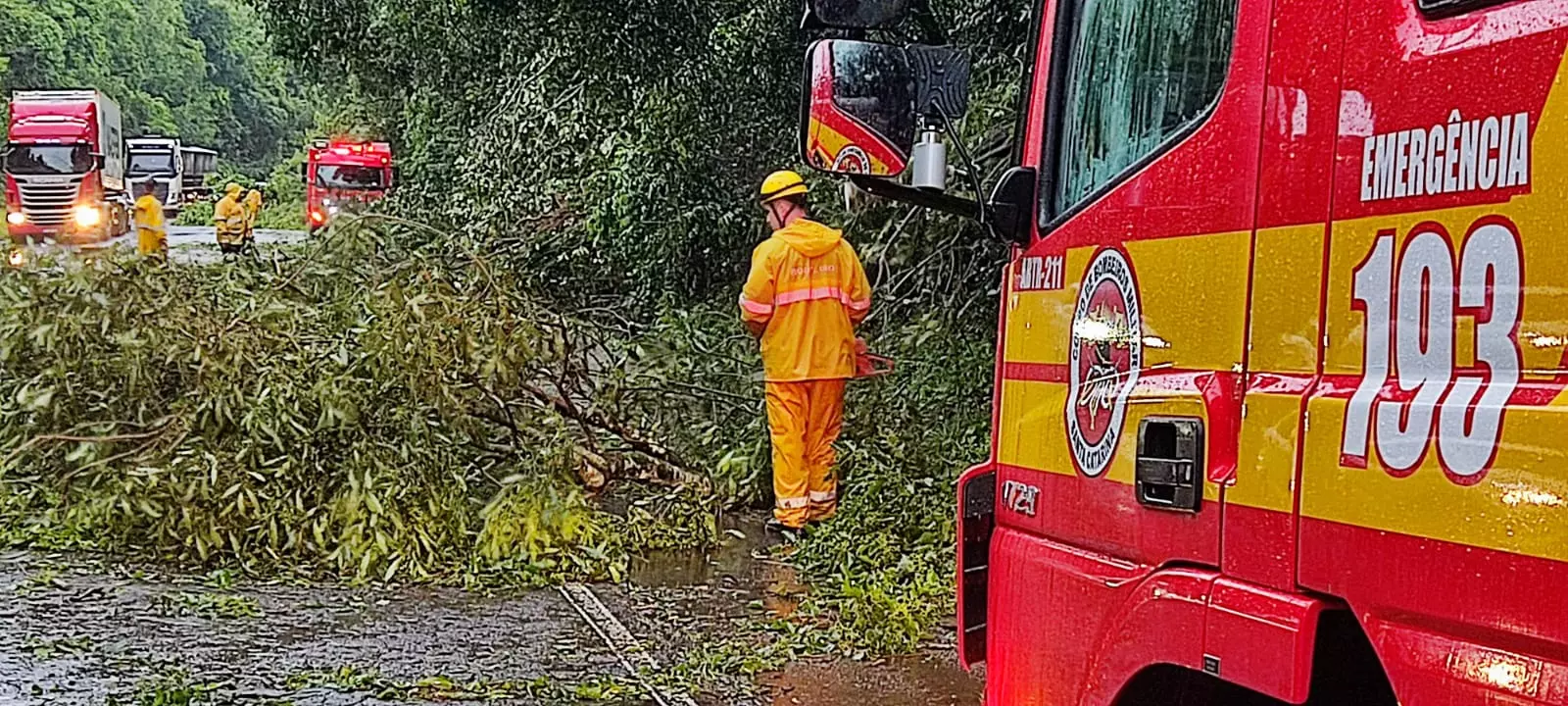 Foto: Corpo de Bombeiros Militar de Maravilha/Divulgação 