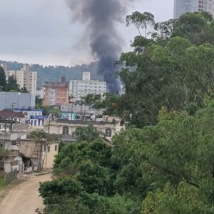 Imagens: Divulgação 