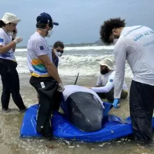 Foto: PRF/Divulgação 