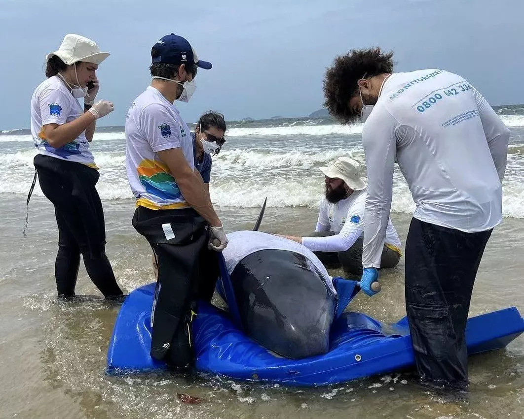 Foto: PRF/Divulgação 