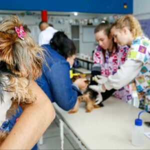 foto: divulgação/ Prefeitura de Joinville